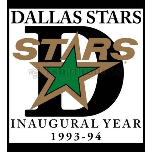 Dallas Stars T-shirts Iron On Transfers N136